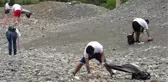 Avrupalı Gençler Plajları Temizledi