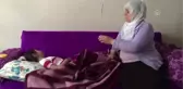 Pitbull Cinsi Köpeklerin Isırdığı Çocuk Yaralandı - İstanbul