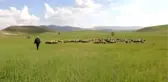 Hafik Ziraat Odası Başkanı Karakaş'tan Biçerdöver Uyarısı