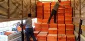 Gercüş'te Üreticilere Arılı Kovan Desteği