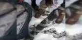 Bedirhan Bebek Annesini Şehit Eden Diğer Terörist de Yakalandı