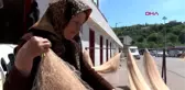 Tekirdağ Fatma Nine, 40 Yıldır Balıkçılık Yapıyor