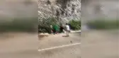 Çekici Uçuruma Yuvarlandı: 2 Ölü, 1 Yaralı