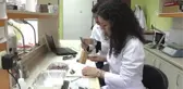 Fındıkta 440 Genotip Tespit Edildi