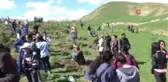Yüksekova'da Anneler Günü Etkinliğinde Fidan Dikimi