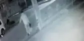 Bu da Tavuk Hırsızı !