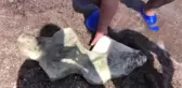 Denizde Kadın Heykeli Bulundu