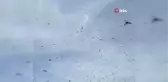 Kovanlarına Sığmayan Binlerce Arı Böyle Görüntülendi
