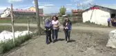 Muş Fotoğraflarını Çektikleri Yarış Atlarına Elme ve Şeker Yedirdiler