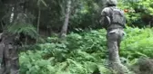 Aç Kalıp, Hasta Olunca Teslim Olmuş... Espriye'de Teslim Olan Teröristin İfadesi Ortaya Çıktı