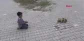 Manisa Minik Besim'in Kaz Yavrularıyla Yürek Isıtan Dostluğu