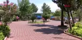 Antalya Öldürülen Arkeolog İçin Müzede Tören-1