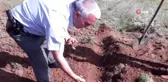 25 Kilo Salep Soğanına 300 Bin TL Ceza Kesildi