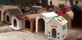Patili Dostlara Bir Yuvada Bizden