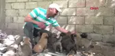 Asgari ücretli, 14 yavru köpeği evinde besliyor