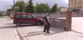 Şampiyon babanın şampiyon oğlu