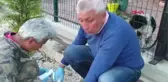 ANTALYA Yaralı köpeğe hayvansever sahip çıktı