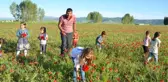 Muş Ovası kırmızıya büründü