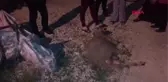 TEKİRDAĞ ÇİFTLİKTEN ÇALDIKLARI KOÇLARI 'ÇEK ÇEK'LE GÖTÜRMEK İSTEDİLER