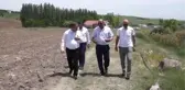 Çubuk'ta salatalık ekimi başladı