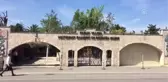 Şempanzeler 