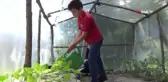 En organik okul...Öğrenciler bu okulda tavuk besliyor, sebze ve meyve yetiştiriyor