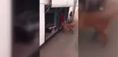 Başkentte uyuşturucu operasyonu