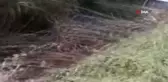 Milas'ta üç ayrı kaza: 1 ölü, 8 yaralı