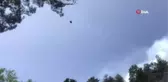 Akseki'de çıkan orman yangınında 2 hektarlık tarım arazisi ve bozuk çam ormanı zarar gördü
