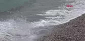 ANTALYA SAHİLLERİN CANKURTARAN 'DENİZ KIZI'