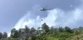 Orman ve tarım arazisinde yangın