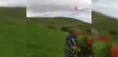 60 bin TL cezası olan laleleri koparıp götürdüler
