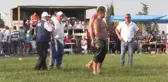 Kavasoğlu ve Şamdancıbaşı İbrahim Yağlı Güreşleri - Ali Gürbüz, başpehlivan oldu