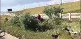 Kırıkkale'de otomobil devrildi: 5 yaralı