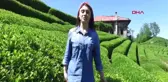 RİZE GÜZEL SANATLAR ÖĞRENCİLERİNİN ALBÜMÜNE İLGİ