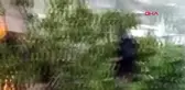 ARTVİN Yusufeli'nde 2 katlı ev yandı