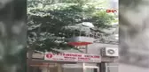 TEKİRDAĞ Malkara'da arı paniği