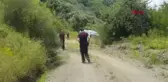 KOCAELİ IHLAMUR TOPLARKEN UÇURUMDAN YUVARLANDI