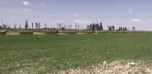 Kuraklığa dayanıklı, verimli ve kaliteli buğday geliştirildi