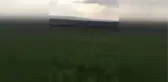 Şiddetli dolu leyleğin kanadını kırdı