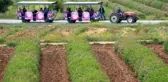 Isparta'da üretilen güllerden yapılan yılın ilk gül yağı, kilosu 9 bin eurodan satıldı