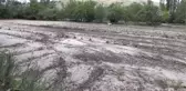 Yozgat'ta etkili sağanak ve sel