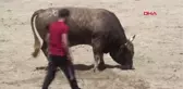 BOĞA GÜREŞİNDE 'KARABELA'NIN SAHİBİ KADIN İLGİ ODAĞI OLDU