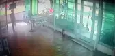 Hırsızlık şüphelisi çift yakalandı