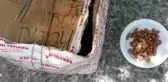 Kedi ve yavruları, ağzı telle bağlı kolide ölüme terk edildi