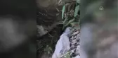 Bodrum'da denize foseptik boşaltıldığı iddiası
