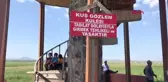 KARS KURUMA TEHLİKESİNDEKİ KUYUCUK KUŞ CENNETİ'NDE KUŞ FESTİVALİ