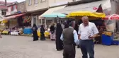 ORDU ARAPLAR YATIRIM AMAÇLI FINDIK BAHÇESİ SATIN ALIYOR
