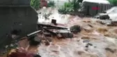 Tokat'ta dolu, 500 dekar tarım arazisine zarar verdi