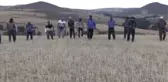 Yozgatlı çiftçiler yardım bekliyor